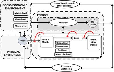 The Quest for System-Theoretical Medicine in the COVID-19 Era